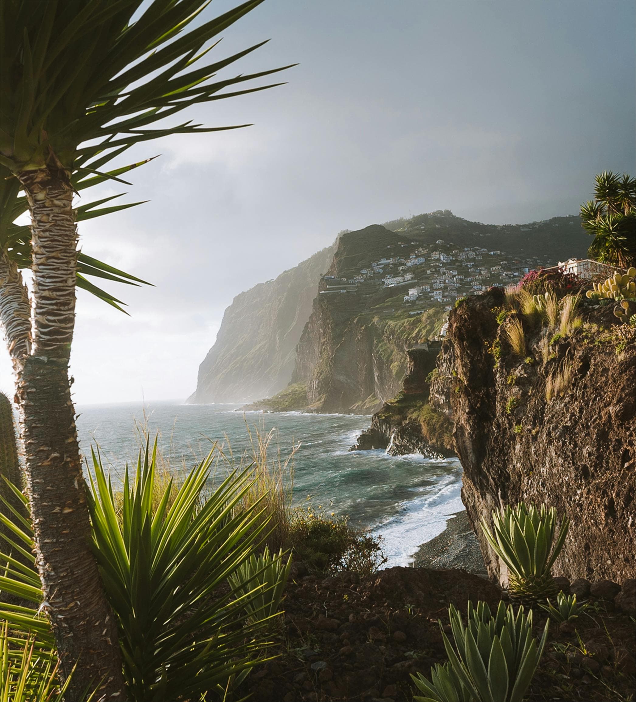 Madeira coastline